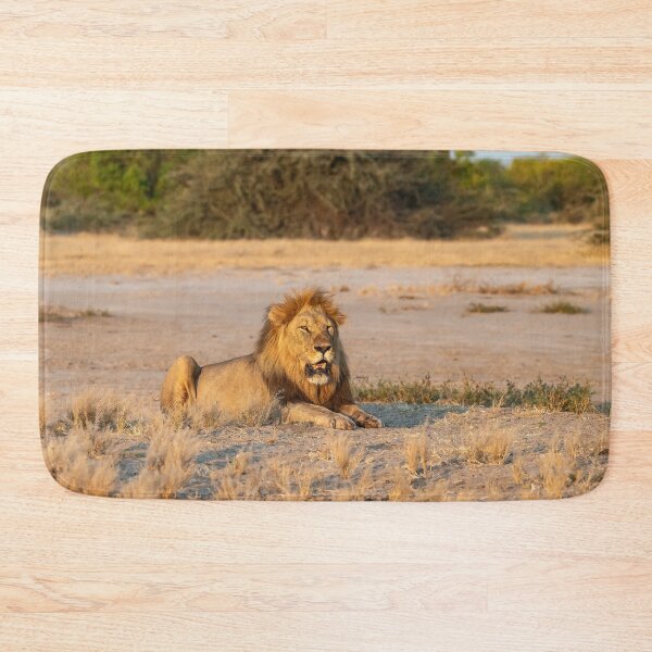 Item preview, Sekoti at Sundown — Northern Pride, Savuti designed and sold by DavideAntoniani.