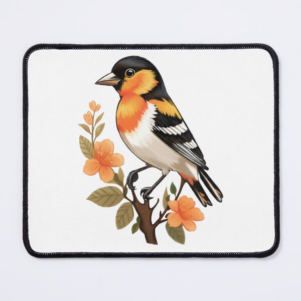 Item preview, Oriole de Baltimore designed and sold by FreshArtFusion.