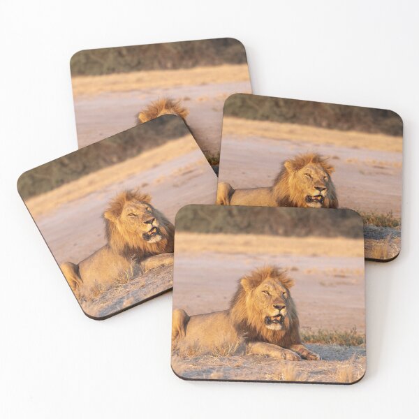 Item preview, Sekoti, Golden-Hour Gaze — Northern Pride, Savuti designed and sold by DavideAntoniani.
