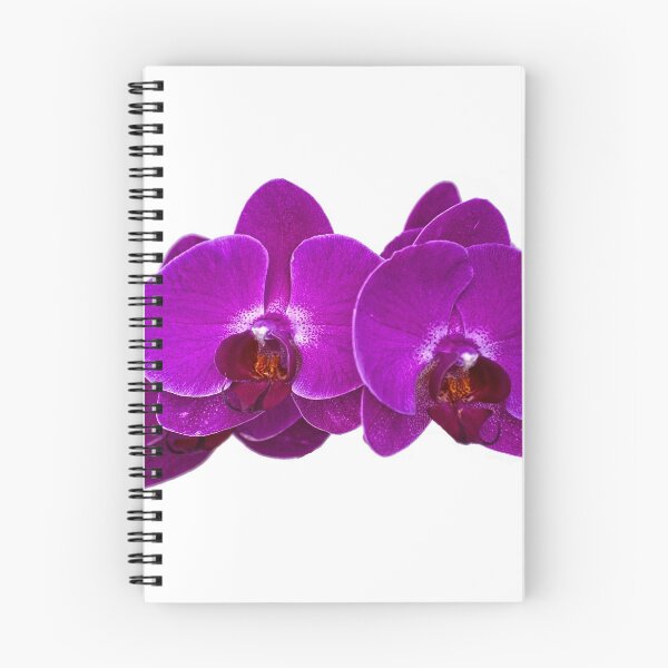 Item preview, Fuchsia Phalaenopsis designed and sold by photorolandi.