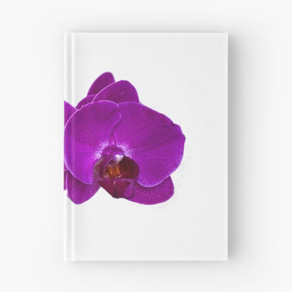 Item preview, Fuchsia Phalaenopsis designed and sold by photorolandi.