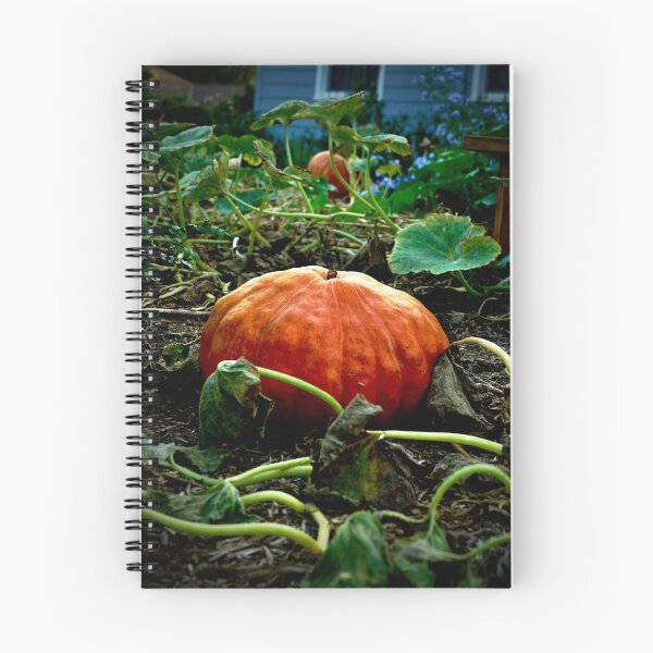 Item preview, The Great Pumpkin designed and sold by Douglas E. Welch Design and Photography.