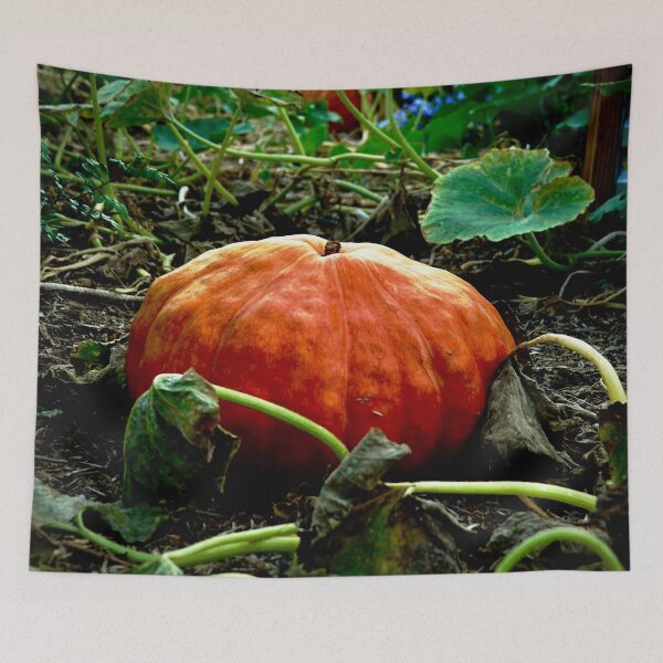 Item preview, The Great Pumpkin designed and sold by Douglas E. Welch Design and Photography.