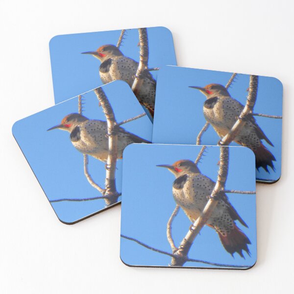 Item preview, Flicker Woodpecker on a Branch designed and sold by Wonders Of Paradise.