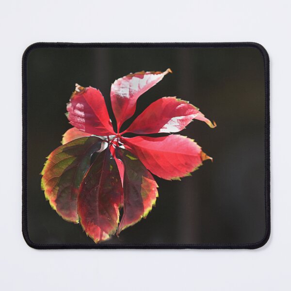 Item preview, Sun light. designed and sold by Paul Pasco.