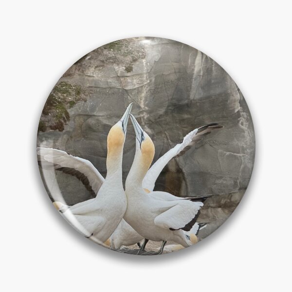 Item preview, gannet,  designed and sold by Ute Mannhardt.