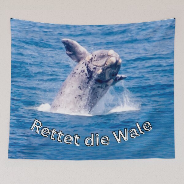 Item preview, Save the Whales - Fascinating nature photo & statement for marine conservation designed and sold by Katja LebenFreude.