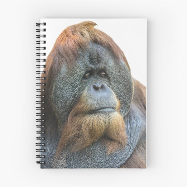 Item preview, SATU, Sumatran Orangutan designed and sold by heatherfriedman.