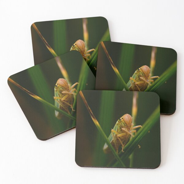 Item preview, Green Leafhopper on Grass – Macro Insect Photography designed and sold by Goiko7Margarita.
