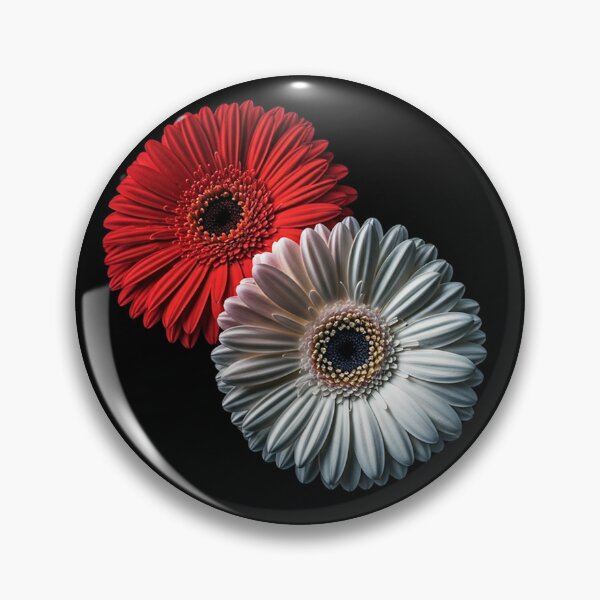 Item preview, Red and White Gerbera Duo – High-Resolution Minimalist Floral Photography on Black Background designed and sold by PixelVibe782.