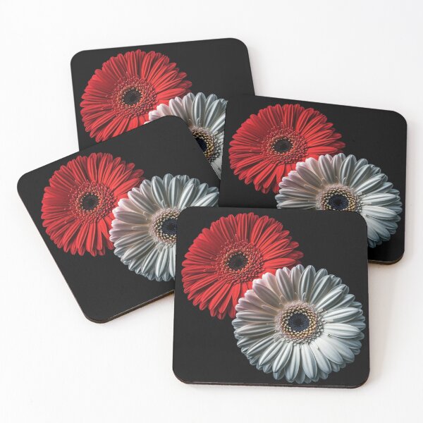 Item preview, Red and White Gerbera Duo – High-Resolution Minimalist Floral Photography on Black Background designed and sold by PixelVibe782.