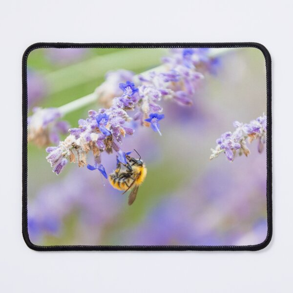 Item preview, Bee collecting nectar from a lavender flower designed and sold by Pascal-F.