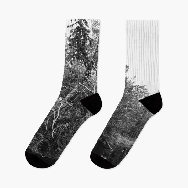 Item preview, Soon to fall. Kuusamo, Pieni karhunkierros 2025 bw designed and sold by Jouko Lehto Photography.