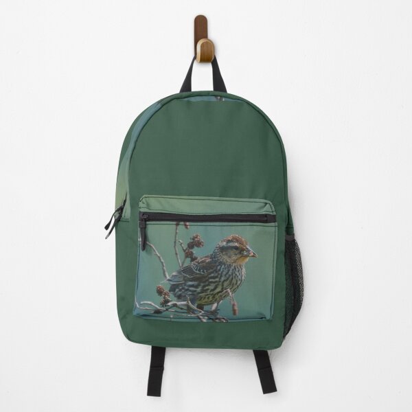 Item preview, Female blackbird feeding designed and sold by Production Art Manon Meilleur.