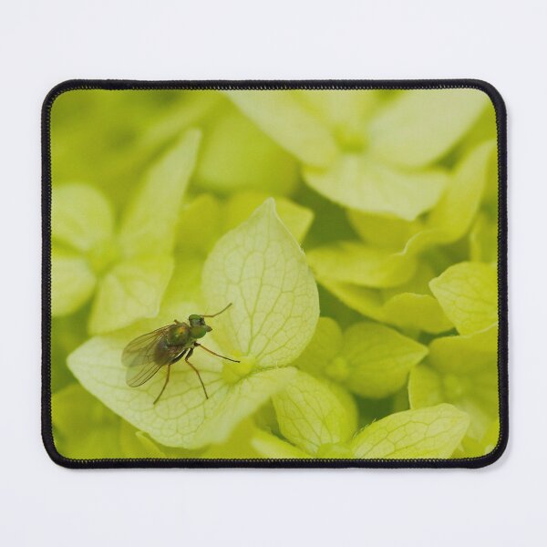 Item preview, Beautiful hydrangea flowers with an intruder designed and sold by Production Art Manon Meilleur.