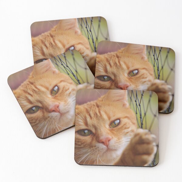 Item preview, Cat designed and sold by LatiendaShop.