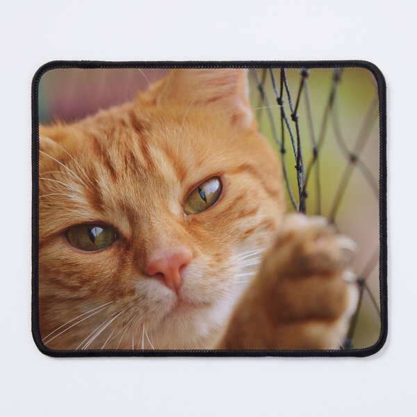 Item preview, Cat designed and sold by LatiendaShop.