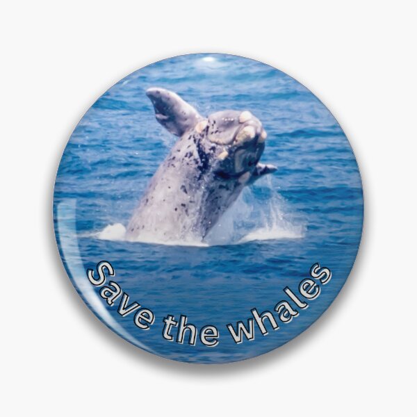 Item preview, Save the Whales - Fascinating nature photo & statement for marine conservation designed and sold by Katja LebenFreude.