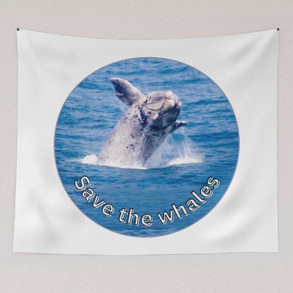 Item preview, Save the Whales - Fascinating nature photo & statement for marine conservation designed and sold by Katja LebenFreude.