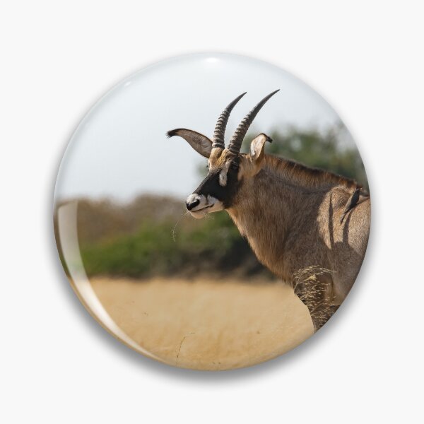Item preview, Golden Savanna Sentinel — Roan Antelope with Oxpecker designed and sold by DavideAntoniani.
