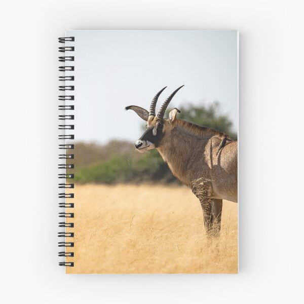 Item preview, Golden Savanna Sentinel — Roan Antelope with Oxpecker designed and sold by DavideAntoniani.