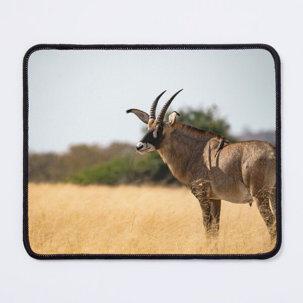 Item preview, Golden Savanna Sentinel — Roan Antelope with Oxpecker designed and sold by DavideAntoniani.