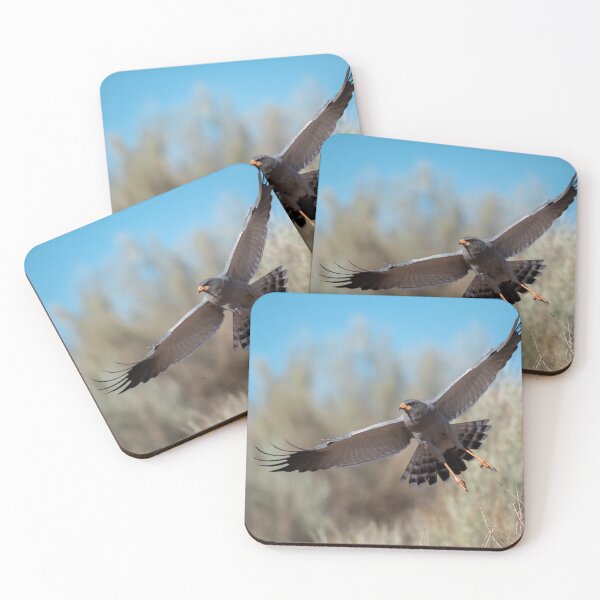Item preview, Desert Sentinel in Flight — Pale Chanting Goshawk designed and sold by DavideAntoniani.