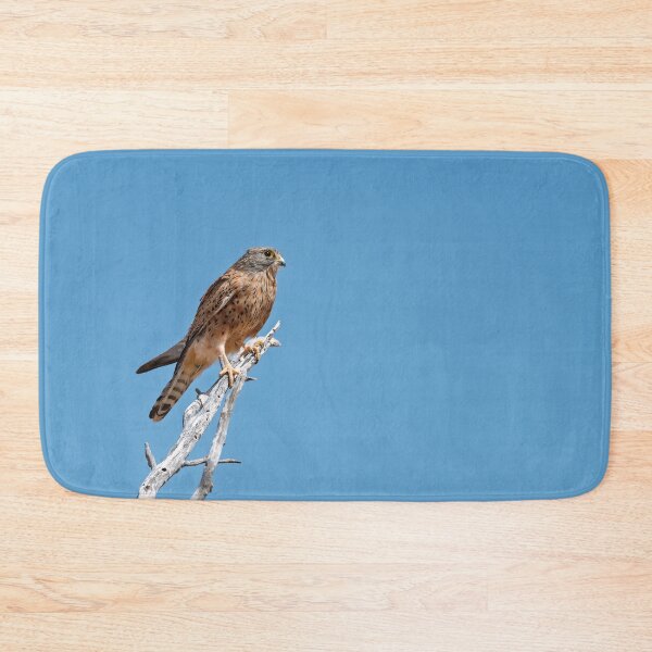 Item preview, Blue Sky Lookout — Kestrel on a Thorn , A slim hunter holds the horizon, light on a bleached thorn. designed and sold by DavideAntoniani.
