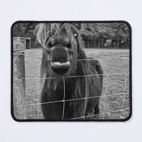 Item preview, Dartmoor Pony designed and sold by ellenmpics.