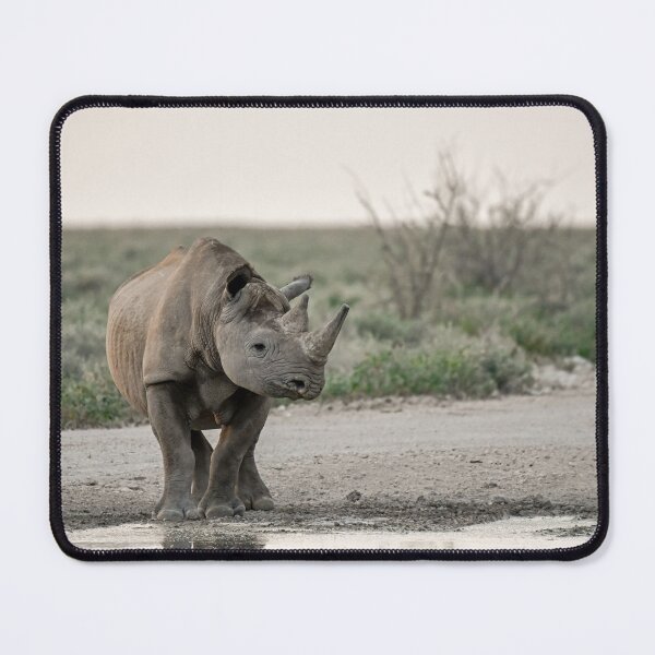 Item preview, Little Titan — Black Rhino at First Light designed and sold by DavideAntoniani.