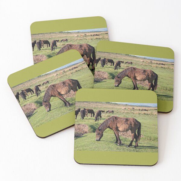 Item preview, Dartmoor Ponies at Rest designed and sold by artsmeow.