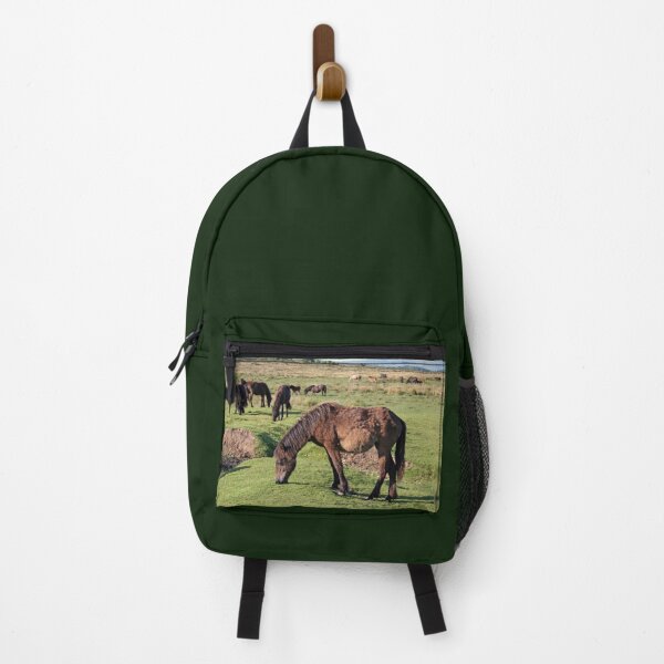 Item preview, Dartmoor Ponies at Rest designed and sold by artsmeow.