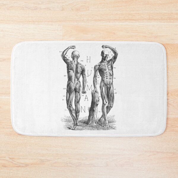 Item preview, Human anatomy designed and sold by amaturka.