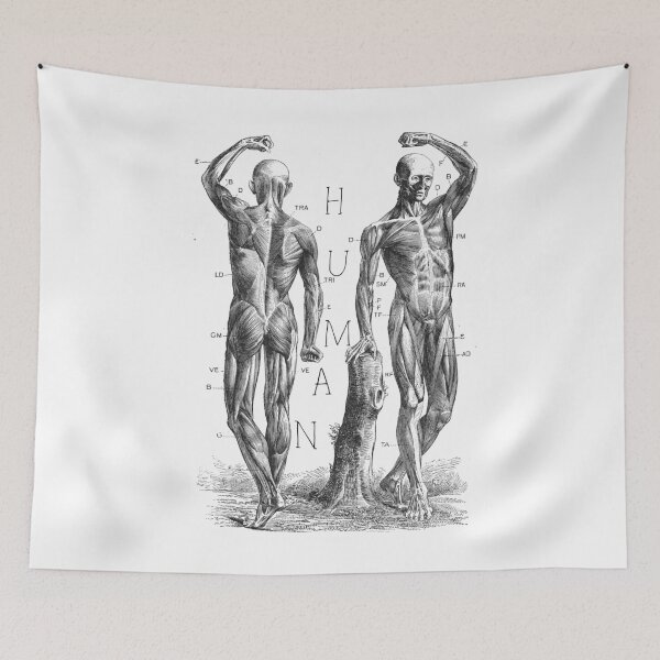 Item preview, Human anatomy designed and sold by amaturka.