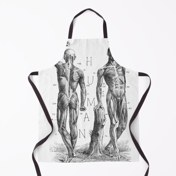 Item preview, Human anatomy designed and sold by amaturka.