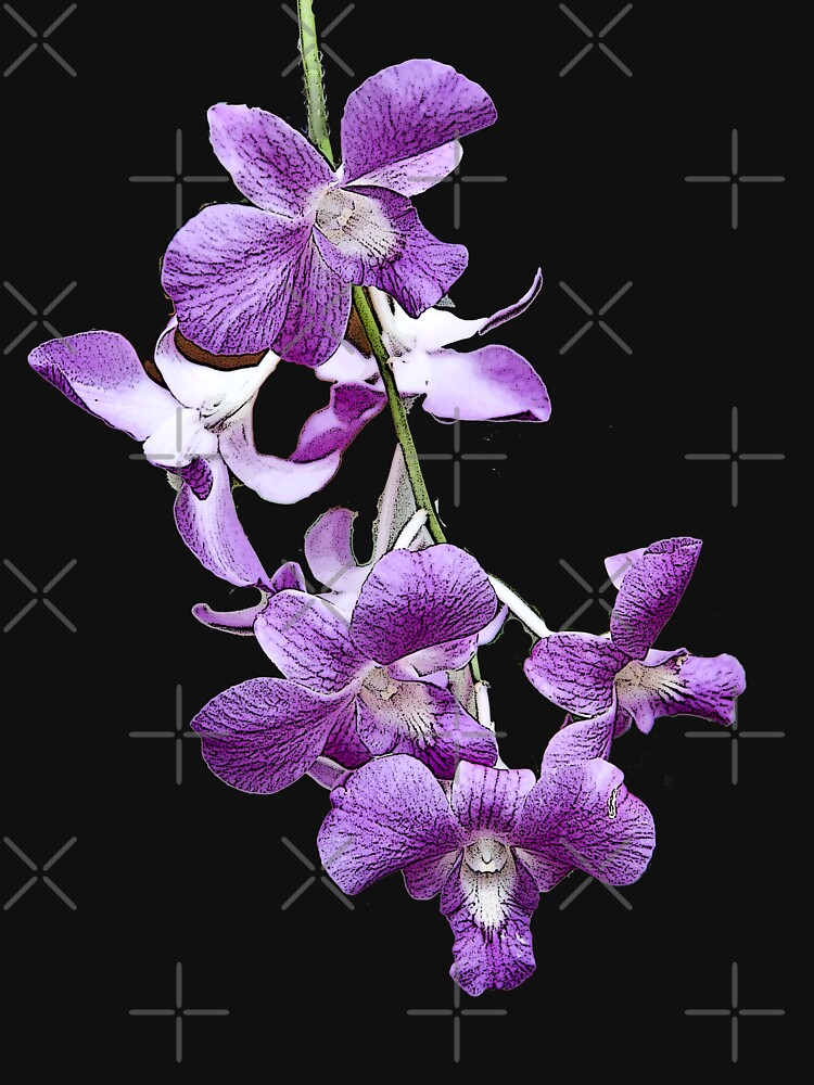 Orchids #2 by photorolandi