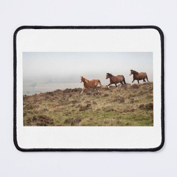 Item preview, Three Horses designed and sold by ellenmpics.