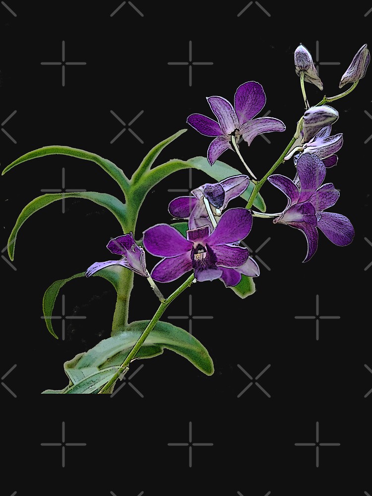 Orchids #1 by photorolandi