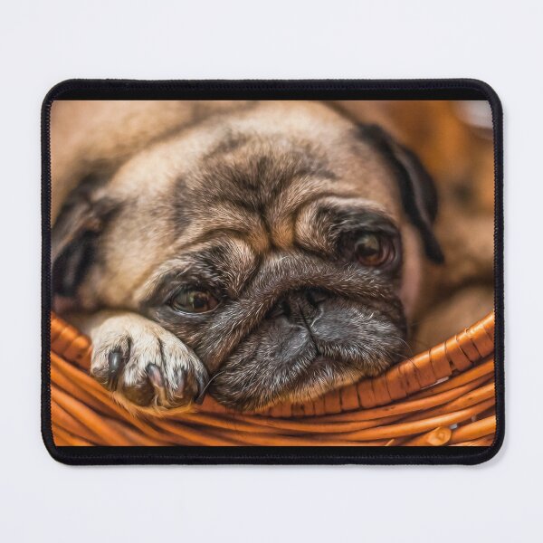Item preview, Pug portrait by elbvue designed and sold by elbvue.