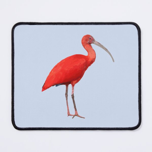 Item preview, Scarlet Ibis designed and sold by blueberry-dino.