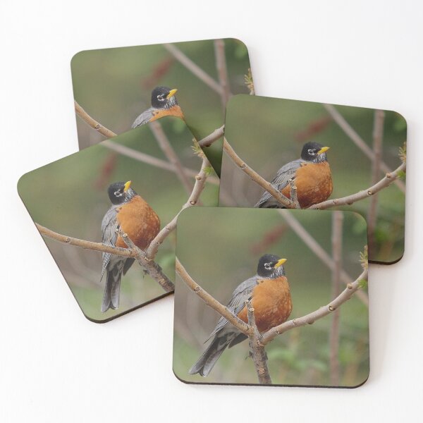 Item preview, Blackbird on a branch designed and sold by Production Art Manon Meilleur.