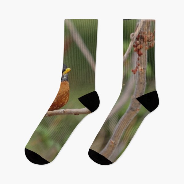 Item preview, Blackbird on a branch designed and sold by Production Art Manon Meilleur.