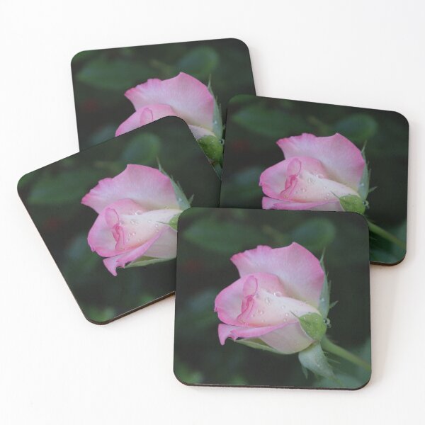 Item preview, Pink roses are so beautiful! La Mirada, CA USA designed and sold by leih2008.