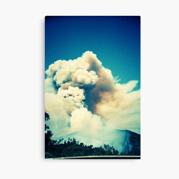 Forest Fire in Provence Canvas Print