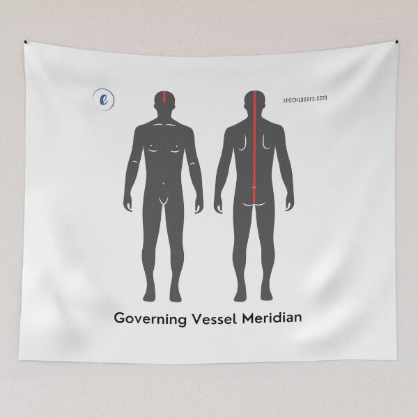 Item preview, Governing Vessel Meridian (GV) Chart - Epoch® Lasers Holistic Approach  designed and sold by Epoch-Lasers.