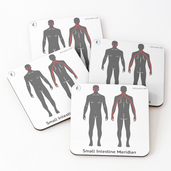 Item preview, Small Intestine Meridian Chart - Epoch® Lasers Holistic Approach  designed and sold by Epoch-Lasers.