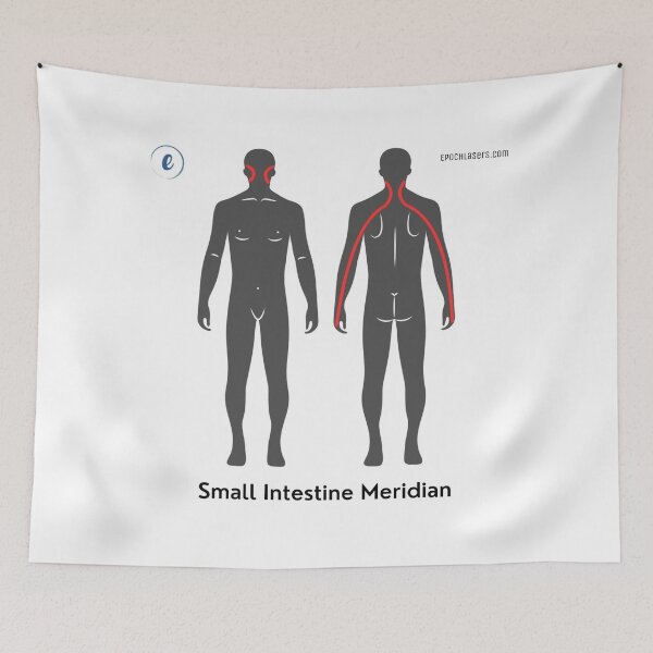 Item preview, Small Intestine Meridian Chart - Epoch® Lasers Holistic Approach  designed and sold by Epoch-Lasers.