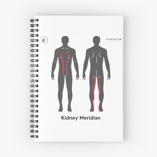 Item preview, Kidney Meridian Chart - Epoch® Lasers Holistic Approach  designed and sold by Epoch-Lasers.