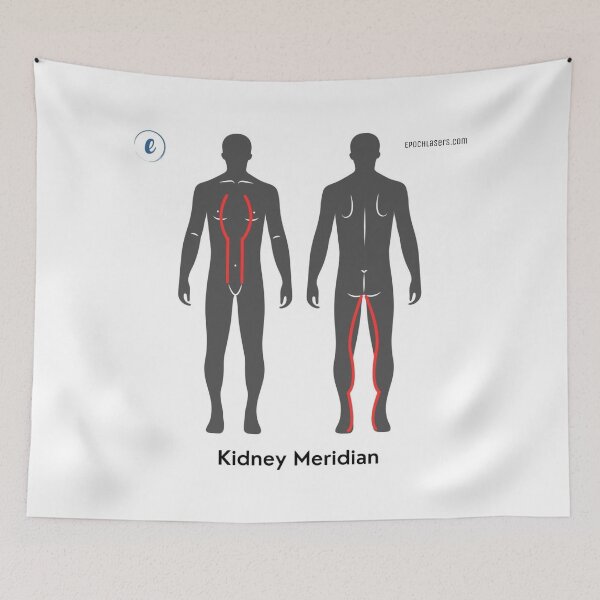 Item preview, Kidney Meridian Chart - Epoch® Lasers Holistic Approach  designed and sold by Epoch-Lasers.