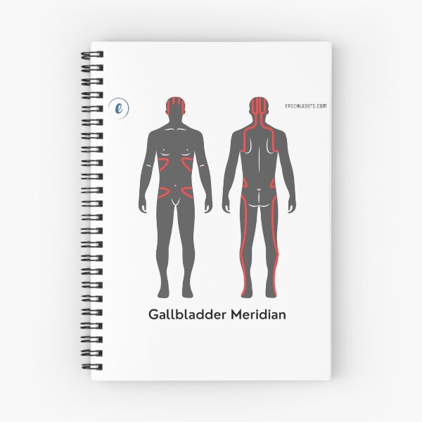 Item preview, Gallbladder Meridian Chart - Epoch® Lasers Holistic Approach  designed and sold by Epoch-Lasers.